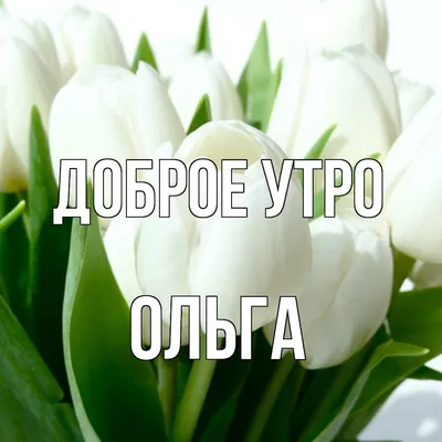 Тамара Воронина on X: \"@Olga_Zah Доброго утра,Оленька!!! Хорошего  пятничного настроения!!! https://t.co/OqiOHDPBFs\" / X