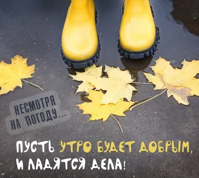 Фото, автор Mira на Яндекс.Фотках | Дождь, Осенний пейзаж, Зимние картинки
