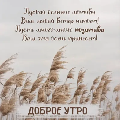 Научная библиотека МПГУ - Доброе утро! Насладитесь сегодня осенним  воздухом... #доброеутро #хорошегодня #Библиотека_МПГУ #осень #дождь #цитаты  #Маяковский | Facebook