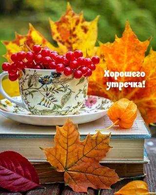 Доброе утро осень