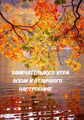 Доброе утро#Осень#Пятница#Хорошего настроения#Моим друзьям# | TikTok