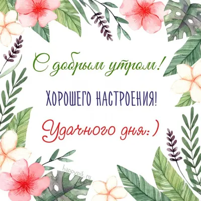 🌺🌿 ЯГОДКИ, ДОБРОЕ УТРО, ОТЛИЧНОГО ДНЯ! 🌿🌺 Доброе утро всем, кто  проснулся, Всем, кто родным своим.. | ВКонтакте