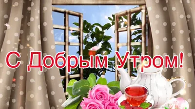 Картинки \"С Добрым Утром и Хорошего Дня!\" (256 шт.)