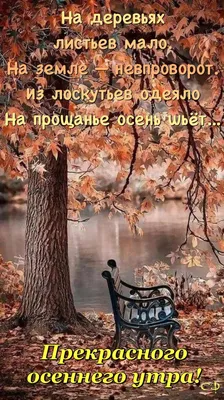 Пин от пользователя Светлана на доске Доброе утро | Пейзажи, Доброе утро,  Живописные пейзажи