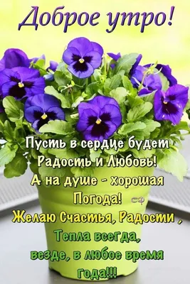 Православные открытки доброго дня (56 шт)