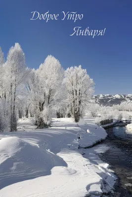 Природа лечит душу красотой! Утренний…» — создано в Шедевруме