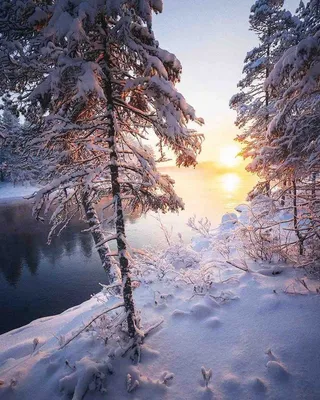 Доброе Утро Картинки Зимние Природа С Пожеланиями – Telegraph