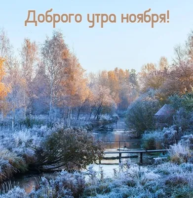 Доброе утро зима природа (90 фото) - 90 фото