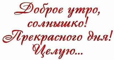 Романтика и сердечки: картинки доброе утро - инстапик | Доброе утро,  Счастливые картинки, Disney princess рисунки