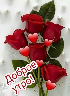 Кофейные розы в сердце от 41 шт. за 10 790 руб. | Бесплатная доставка  цветов по Москве