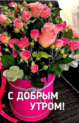 Доброе утро, артикул F35545 - 11112 рублей, доставка по городу. Flawery -  доставка цветов в Москве
