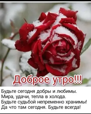 Открытка с утренним кофе и розами — Скачайте на Davno.ru