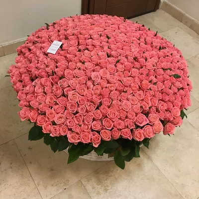 Букет роз \"Доброе утро, Любимая!\" (501) по цене 39990 руб - купить в Москве  с доставкой