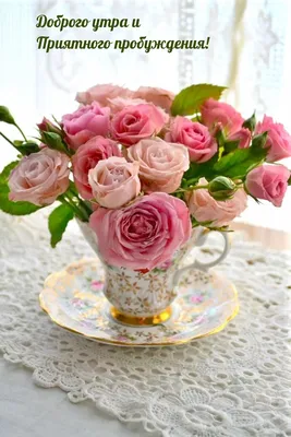 Букет из пионовидных роз \"Доброе утро\", 11 шт купить в интернет-магазине