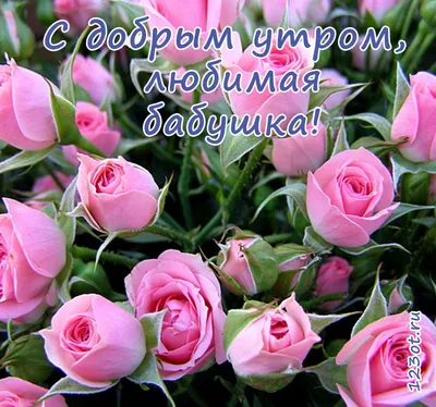 Картинка красивый букет роз в рамочке для очень доброго утра - поздравляйте  бесплатно на otkritochka.net