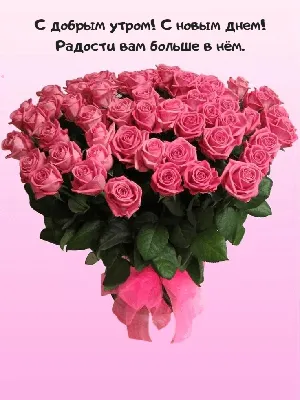 Доброе утро, все эти маленькие розы Стоковое Фото - изображение  насчитывающей красно, пион: 235315768