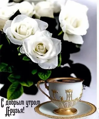 Купить нежные кустовые розы в Щёлково с бесплатной доставкой - Lilium