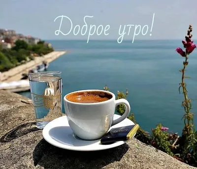 📎05 🌞С добрым утром с чашкой кофе и розами | Funny breakfast, Coffee  breakfast, Food