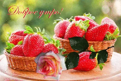 Épinglé par Сергей sur доброе утро | Corbeille de fruits, Fruits et  légumes, Nature morte