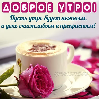 Наклейка \"Доброе утро с кофе!\" 35x50 см, 1 шт. по цене 177 ₽/шт. купить в  Москве в интернет-магазине Леруа Мерлен