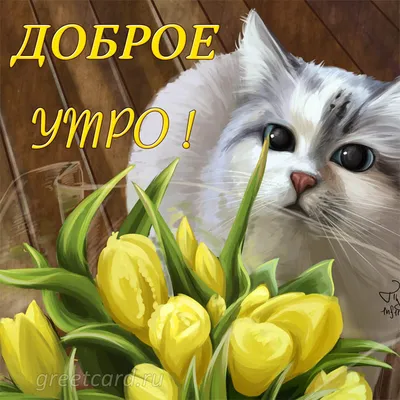 Картинка \"Доброго утречка!\" с котиком. Удачи вам с утра! • Аудио от Путина,  голосовые, музыкальные