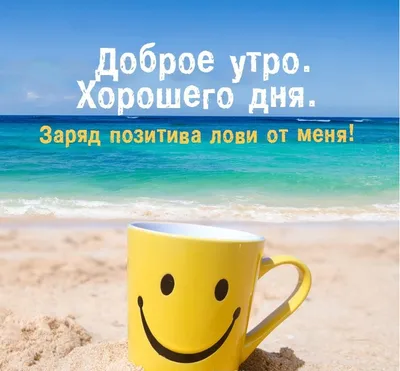 👍Всем Доброе Предоброе Утро! Сделай День Позитивом! И все Будет Хорошо!  😂😂😂😂😂👌 | ВКонтакте