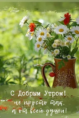 Pin by Olga on ПОЖЕЛАНИЯ | Good morning, Flowers, Painting