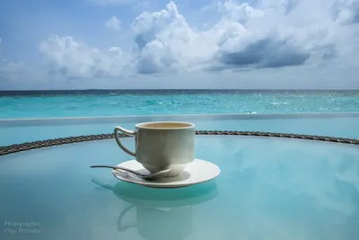 Доброе утро красивые картинки кофе море и цветы | Клубника, Рождественские  пейзажи, Доброе утро