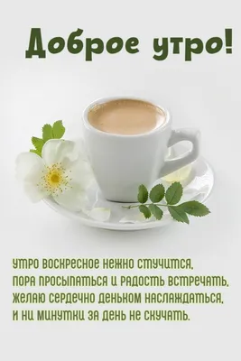 Пожелания хорошего дня в картинках, своими словами, в стихах, в смс и  христианские пожелания доброго дня — Украина