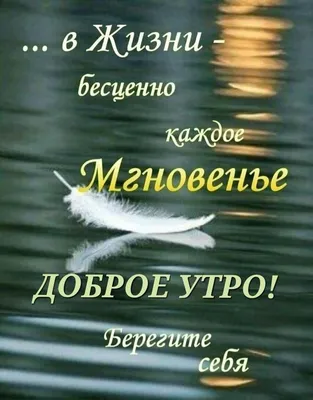 Пин от пользователя dvimarusi на доске поезія | Романтические цитаты,  Цитаты, Мудрые цитаты