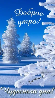 С добрым утром ❄️#зима#снег#утро#зимнееутро#белымснегом#споем#доброеут... |  TikTok