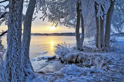 Доброе Утро Зима Пожелания Здоровья Мудрые Картинки – Telegraph