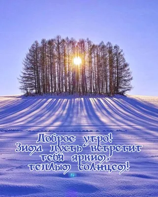 Красивые и прикольные картинки с пожеланием зимнего Доброго утра! | Доброе  утро, Зимние цитаты, Зимние картинки