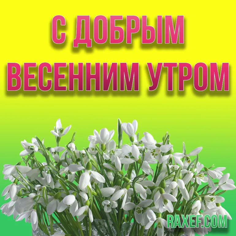Красивая Весна Картинки Доброе