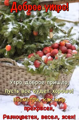 доброе зимнее утро волшебный лес: 1 тыс изображений найдено в  Яндекс.Картинках | Доброе утро, Зимние цитаты, Утренние цитаты