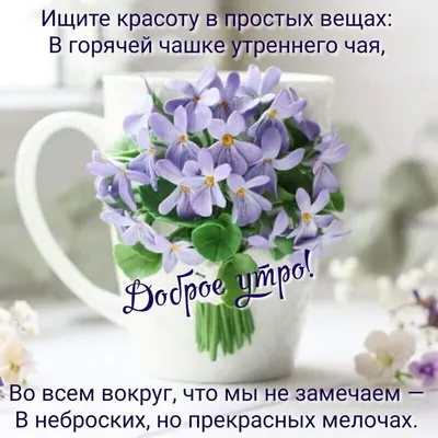 Марина Алекминская on Instagram: “🌸🌺🌿🌿🌸🌺” | Красивые цветы, Открытки,  Цветы