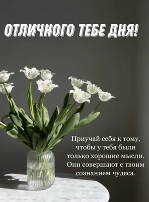 Доброго утра и хорошего дня ! | Красивые открытки 2024 | ВКонтакте