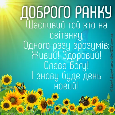 Картинки доброго ранку на українській мові гарного дня (48 фото) » Юмор,  позитив и много смешных картинок