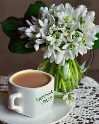 Доброго февральского утра! | OK.RU | Morning coffee photography, Coffee  flower, Good morning coffee