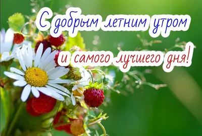 ☀️🌴😄 Картинки с добрым летним утром - скачать (245 шт.)