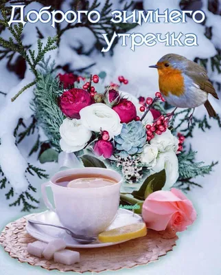 Поздравления и открытки on Instagram: \"Всем доброго морозного утра\"