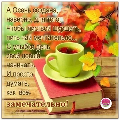 Чудесного осеннего дня #осень #день #хорошегодня #позитив #настроение |  TikTok