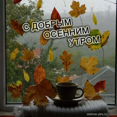 Прикольные пожелания доброго осеннего утра - 71 фото