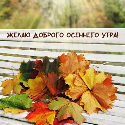 ♫ღВем желаю Доброго осеннего утра!!!...ღ♫❀ ~ Открытка (плейкаст)