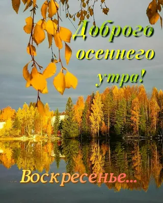 Доброго осеннего утра! 🍁 | Моя любимая группа! | ВКонтакте