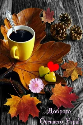 Картинка доброго осеннего утра и хорошего дня! | Осень, Открытки, Доброе  утро