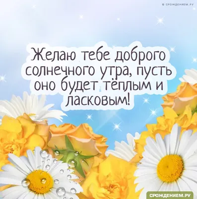 Картинка: \"Желаю тебе доброго солнечного утра..\" • Аудио от Путина,  голосовые, музыкальные