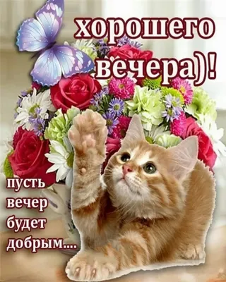 Красивые картинки \"Доброго вечера!\" (363 шт.)