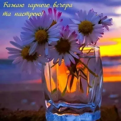 Картинки Доброго вечора | Happy evening, Stemless wine glass, Glass vase