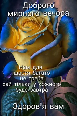 Доброго Вечора Кохана Моя Українською мовою｜Пошук у TikTok
